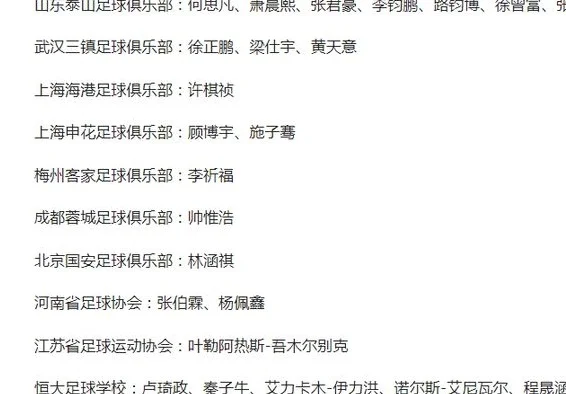 正式官宣！山东泰山7人入选国家队，他们是泰山队未来10年希望相关图五