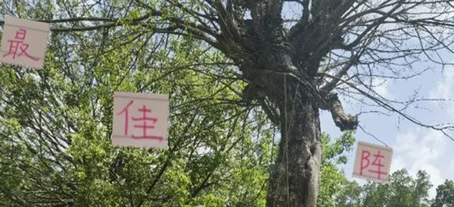 第三方机构评出中超第12轮最佳阵容 申花米内罗又是高分获选