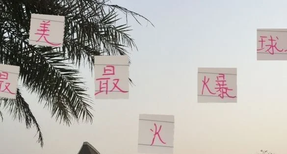 大连对阵申花门票半小时售罄 马莱莱跟米内罗 PK看点十足