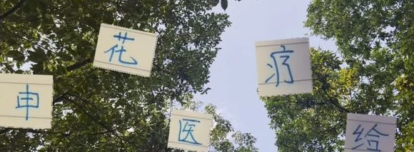 申花投资医疗效果出来 除了阿马杜没办法外 其他球员都快速复活
