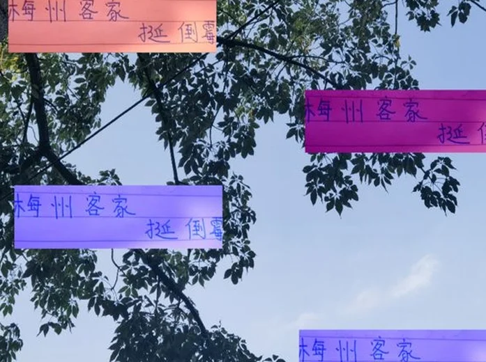 梅州客家挺倒霉！连续两年遇到上海双雄 都遭遇错判