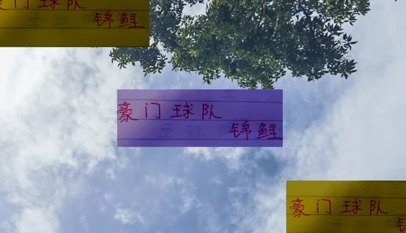 中超三大豪门锦鲤 北京国安是柏杨 申花是于汉超 海港你认为是谁