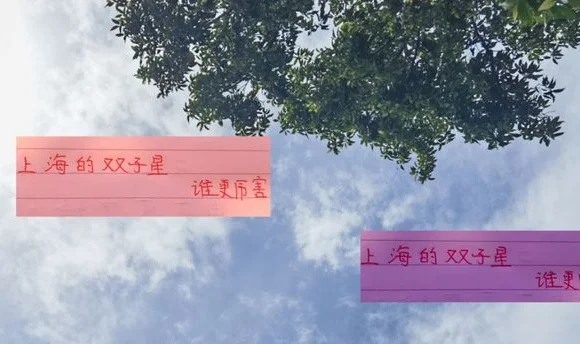 申花的双子星跟海港的双子星 谁更加强点