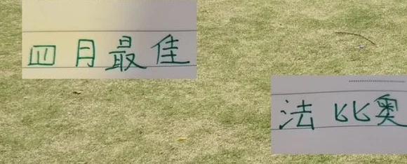 有牌面！法比奥当选中超4月最佳球员 北京国安的绿色风暴来了！