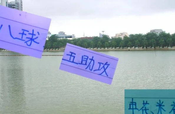 没想到申花路易斯不在的时候 米内罗偷偷上分