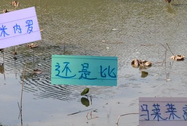 真假马莱莱 没想到进攻端的钥匙是米内罗