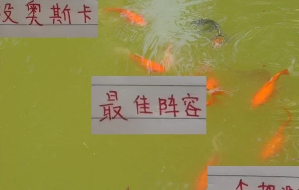 中超4月最佳阵容 没有一个海港球员 没有奥斯卡真是降维打击