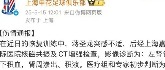 正式退出，25岁国脚发声，做出选择，申花批准，或无缘世预赛相关图四