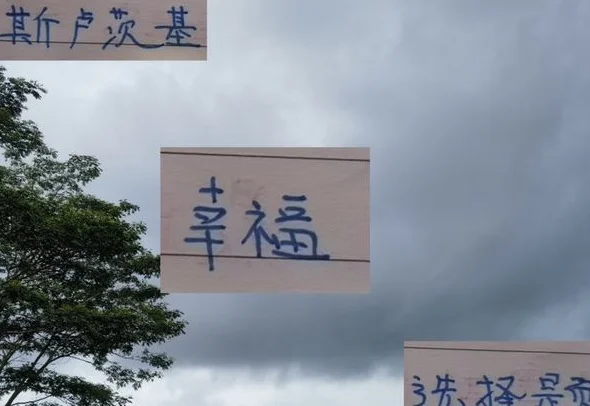 希望申花俄罗斯教练 场场都面临小刘 路易斯 米内罗三选二选择题