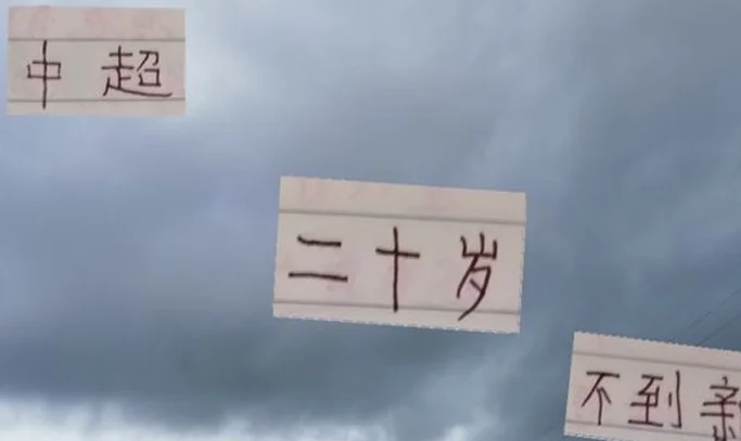 中超13轮下来 20岁不到新秀 进球最多是王钰栋 然后是申花刘诚宇