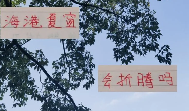 没有奥斯卡！海港从第一名到第四名 昔日联赛霸主光环不再