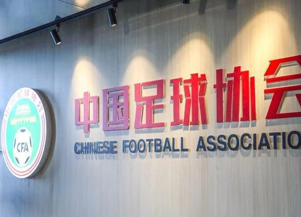 朱艺：脑震荡规则实施需要监督，并修订后续管理追踪规则