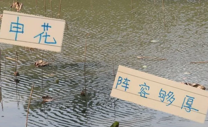 申花全替补 依然是大部分国脚阵容 怪不得可以称霸中超榜首