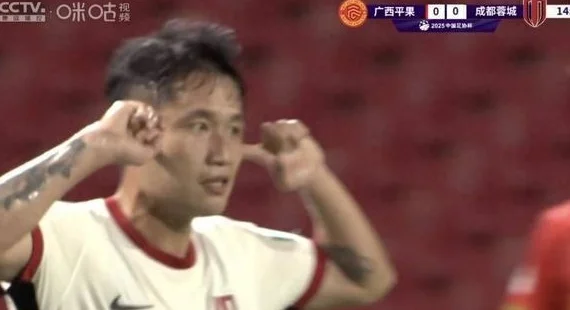成都蓉城3-0轻取广西平果晋级足协杯16强