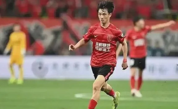 杨明洋归化终落地！国足中场能否借“瑞士铁闸”破解18强赛困局？相关图四
