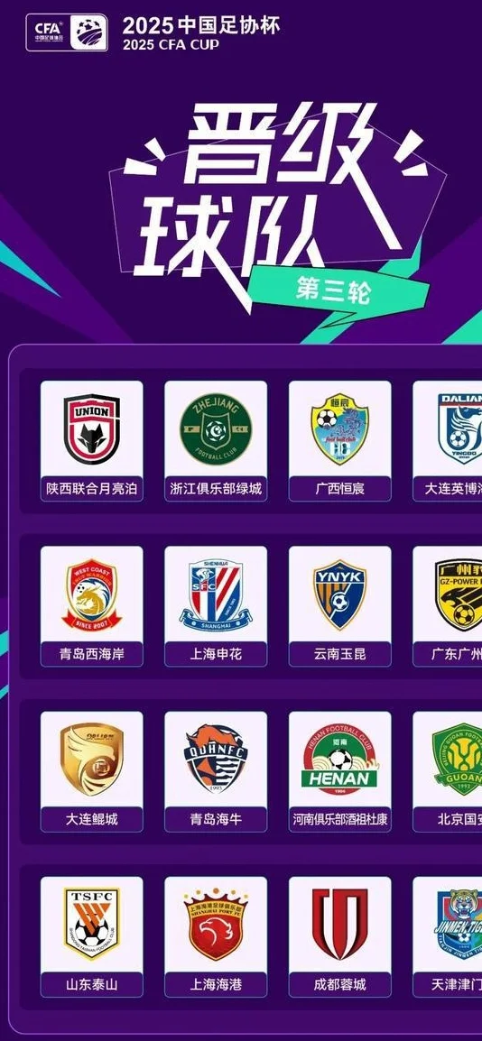 足协杯16强诞生：四队下克上，广西恒宸成最大黑马相关图五