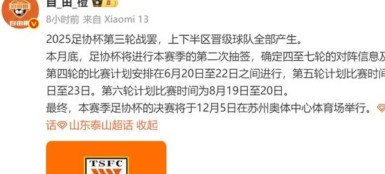 5比0！泰山队大胜红狮，足协杯抽签计划出炉，崔康熙谈间歇期安排相关图五