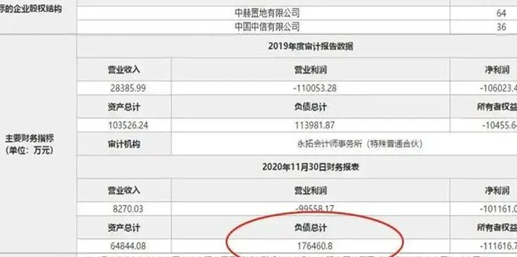 上海申花，是目前中国职业足球的天花板