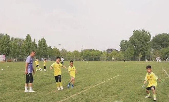 潍坊青州：云驼足球场焕新升级 打造城市运动新名片