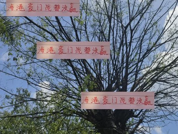 海港豪门战役一场都没赢 没奥斯卡后 没想到！实力下滑严重