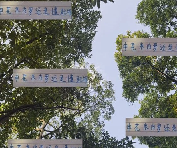 申花米内罗还是懂职场！ 放假不忘训练 有种加班发朋友圈的既视感