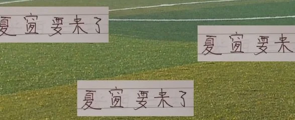 中超前4外援被换可能性 海港的加布里 申花的路易斯有点高压