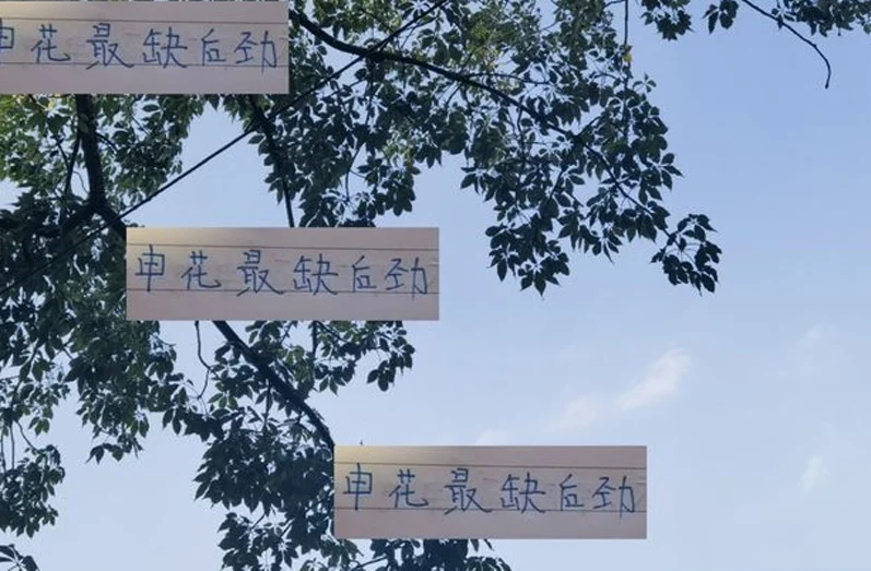 申花最缺往往就是后劲 去年就是例子 因此海港 北京国安还有机会