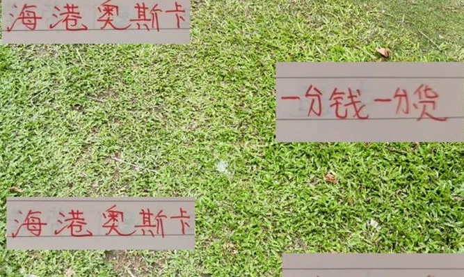 海港奥斯卡的性价比确实不高 真的是一分钱一分货