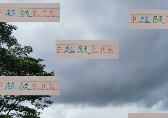 中超颜色系代表 红色是海港 蓝色是申花 绿色是北京国安