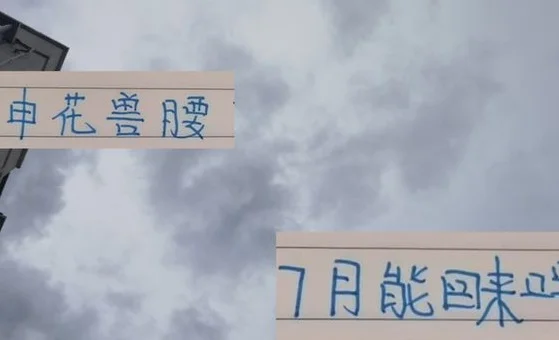 都说黑人体质好！申花兽腰阿马杜能赶上 7月19跟北京国安比赛吗