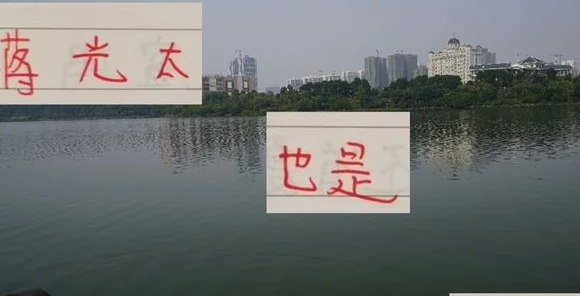 蒋光太也到31岁 没想到海港后防年轻人不抗揍 还得靠老将