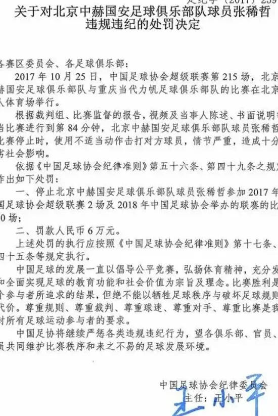 评论家金汕：王小平罚张稀哲12场，是因为当时国家有重要会议相关图二
