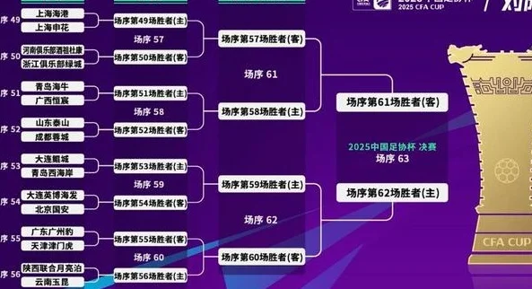 热议足协杯抽签：申花、山东和浙江有难度，国安突围可能性大
