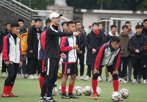 只有佩兰和扬科维奇摸到了中国足球的命脉相关图六