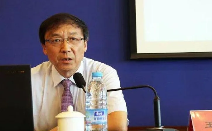 评论家金汕：王小平罚张稀哲12场，是因为当时国家有重要会议