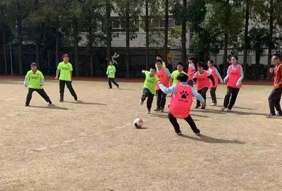 在杨浦的绿茵场上 ，踢出更多足球小将相关图三