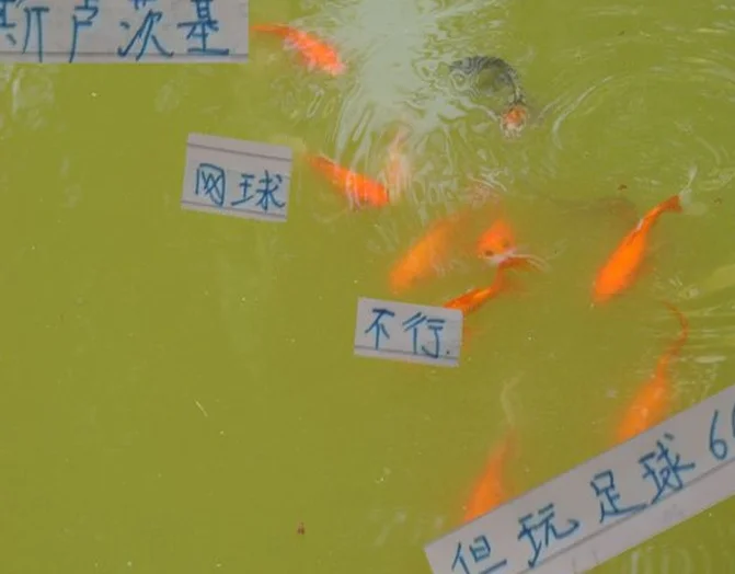 没想到！在中超联赛能脆败对手申花教练 打网球赛居然被吊打