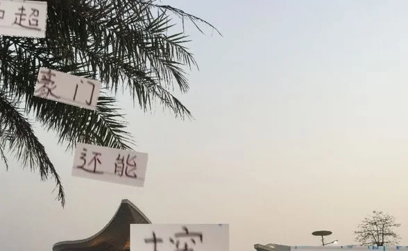 前北京国安球员巴坎布未能夺冠 未来海港跟申花还能挖切尔西人吗