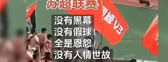 “苏超”一炮走红，让我们看到足球经济爆发力相关图二