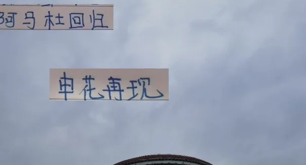 不愧是黑人体质 申花教练亲口承认 阿马杜已回归参加训练