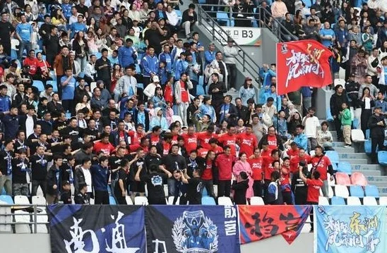 4:0战胜泰州队！江海狼啸！南通队豪取三连胜领跑苏超相关图三