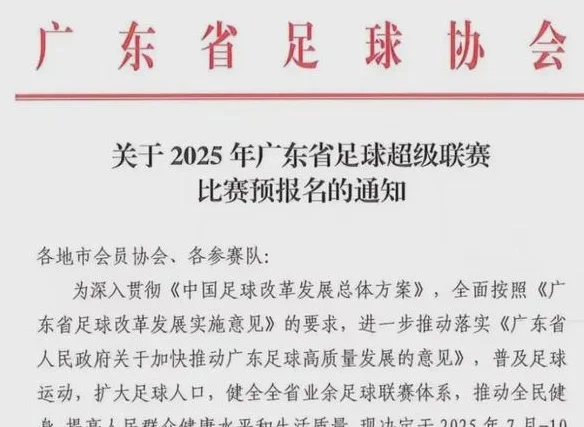 “苏超”联赛：为什么火，谁是赢家，会被模仿吗？相关图七