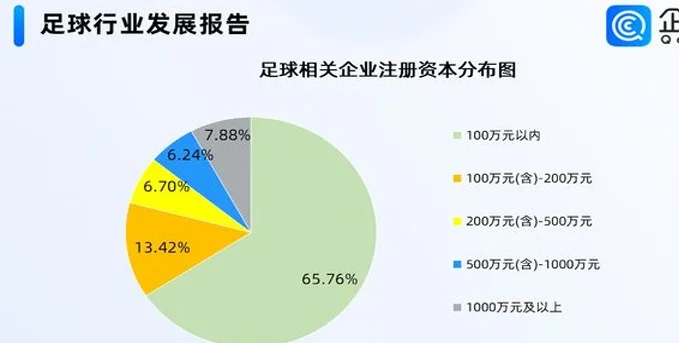 “苏超”爆火重塑足球魅力，国内近三成足球相关企业在华东