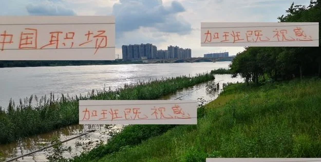别人下班我加班！ 中超第一身价外援 还有申花米内罗休假不忘打卡