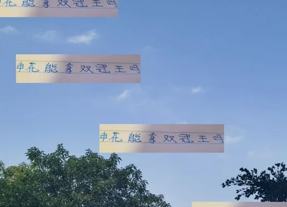 如果足协杯能战胜海港 申花拿双冠王机会就是五五开了