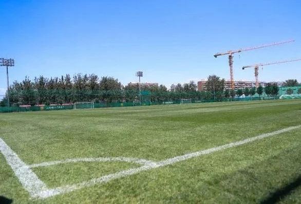 李明：新基地也只是租赁，无法充分满足文化属性和公益属性