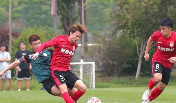 3-0 1-0 米内罗枪管发烫！亚泰击败中乙队 苏先生为战国安刷自信相关图五