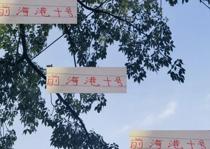 值！前中超第一外援 海港名宿巴尔加斯 帮新东家保级成功