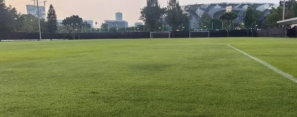 国足进行抵达印尼第一练，训练场与比赛场地仅隔一条马路相关图三