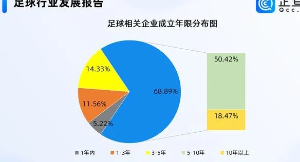 “苏超”爆火重塑足球魅力，国内近三成足球相关企业在华东相关图三